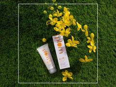 Plum Chamomile & White Tea Sheer Matte Day Cream Sunscreen SPF 50 PA+++ ( 60 ML )