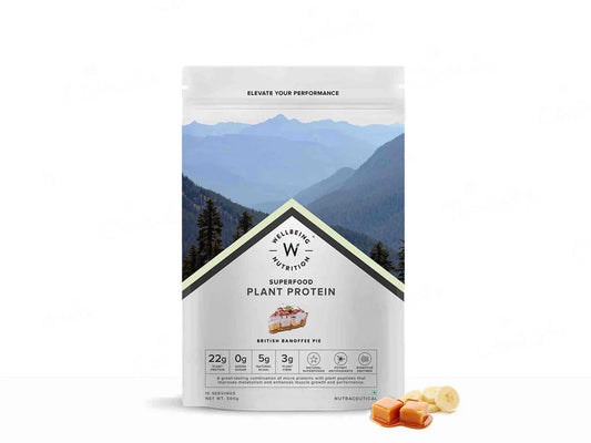 Wellbeing Nutrition Superfood Plant Protein Powder(500 gm)