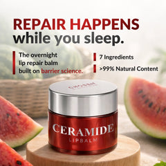 Ceramide Lip Balm (8gm)