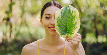 History Image for Mobile