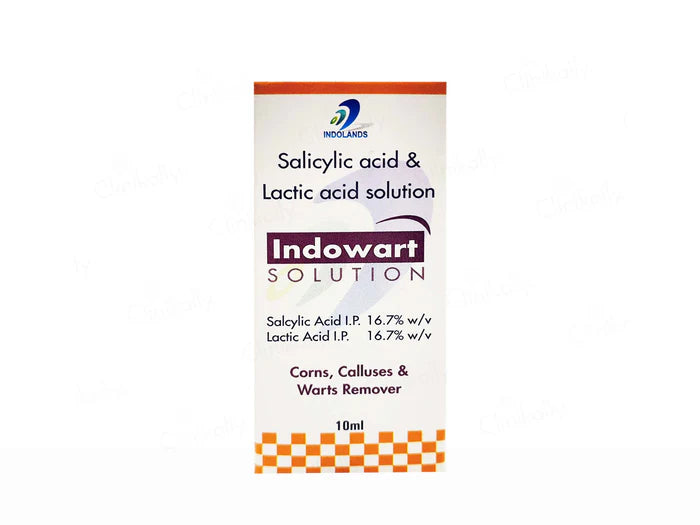 Indowart Solution